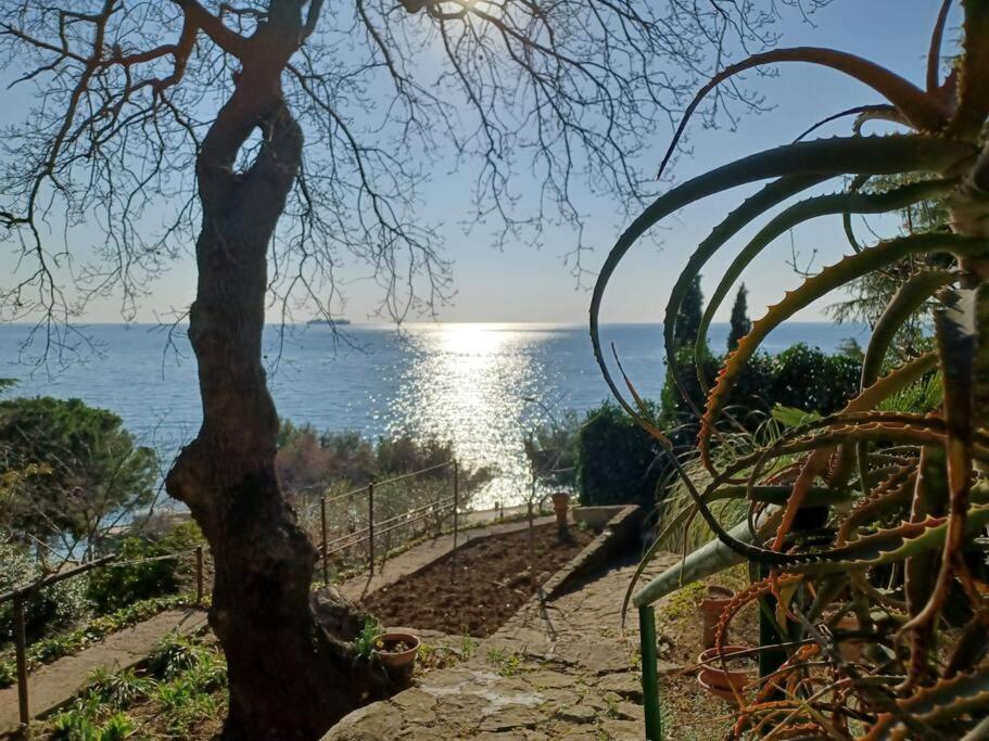 Brezza Marina - Appartamento In Villa Fronte Mare 的里雅斯特 外观 照片