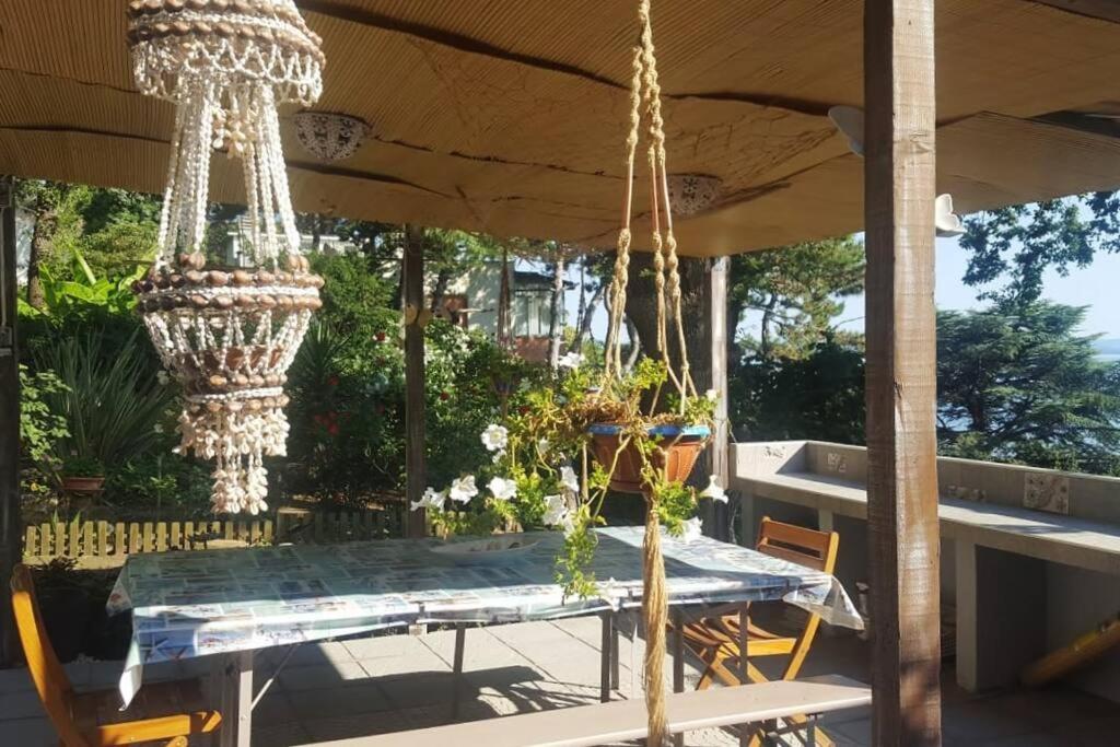 Brezza Marina - Appartamento In Villa Fronte Mare 的里雅斯特 外观 照片